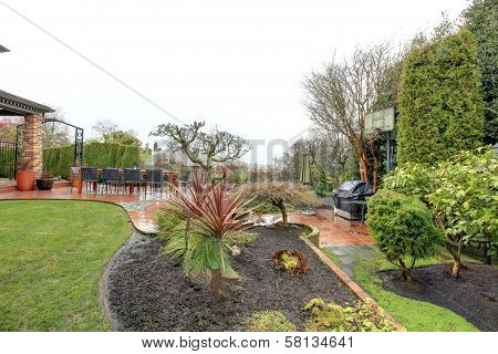 Beautiful Spring Backyard Garden After Rain