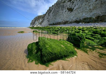 Stones, Overgrown With Green Algae On Sea Coast At Nord-pas-de-calais Region, France.