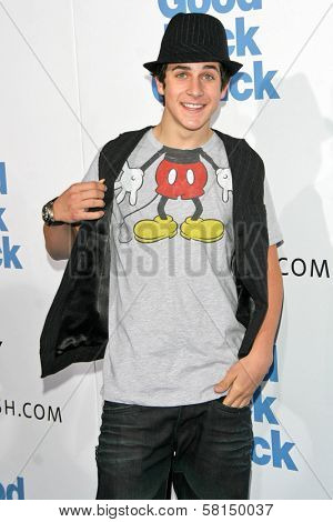 David Henrie at the Los Angeles Premiere of 