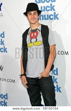 David Henrie at the Los Angeles Premiere of 