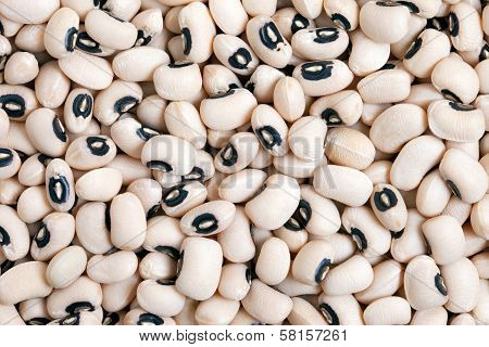 Black Eyed Peas