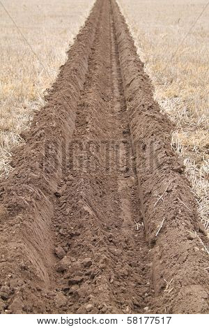 Ploughed Furrow.
