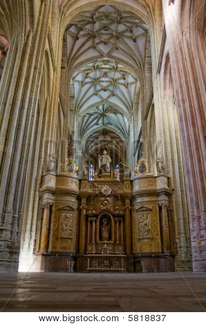 Il coro di Santa Maria Cathedal di Astorga. Spagna