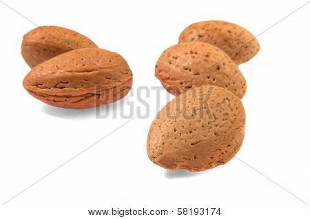 Nuts