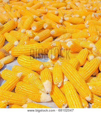 Pile Of Corn