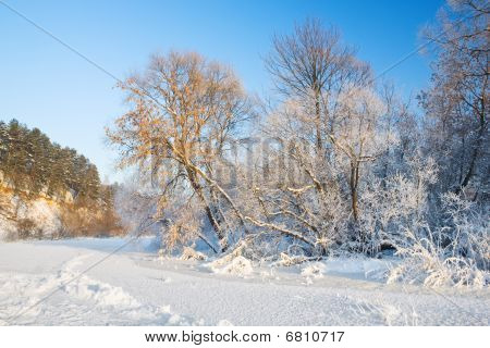 Træer, rimfrost, frozen River