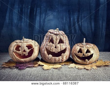Halloween Pumpkins In The Forest