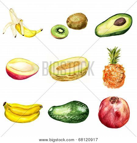 Set of tropical fruits