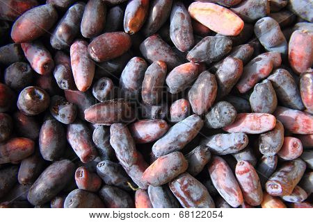 Honeysuckle Berries