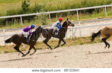 Horse Racing
