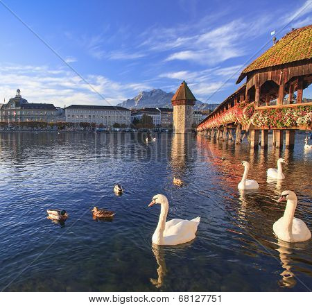Lucerne, The Chapel Bridge In Early Morning