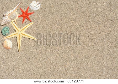Starfish And Shells