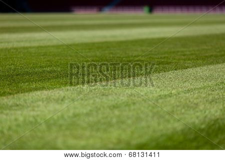 Soccer Pitch