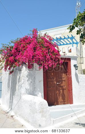 greek bungalow with pink bougainvillea, santorini island