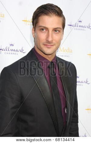 LOS ANGELES - JUL 8:  Daniel Lissing at the Crown Media Networks July 2014 TCA Party at the Private Estate on July 8, 2014 in Beverly Hills, CA