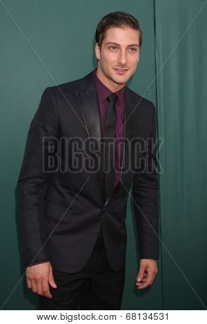 LOS ANGELES - JUL 8:  Daniel Lissing at the Crown Media Networks July 2014 TCA Party at the Private Estate on July 8, 2014 in Beverly Hills, CA
