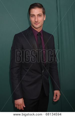 LOS ANGELES - JUL 8:  Daniel Lissing at the Crown Media Networks July 2014 TCA Party at the Private Estate on July 8, 2014 in Beverly Hills, CA