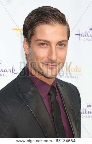 LOS ANGELES - JUL 8:  Daniel Lissing at the Crown Media Networks July 2014 TCA Party at the Private Estate on July 8, 2014 in Beverly Hills, CA