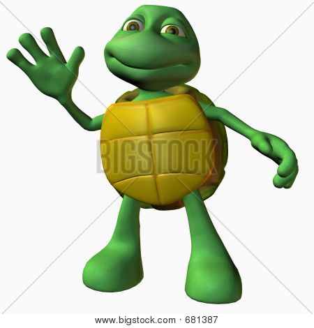 Turtle pojke - Hej