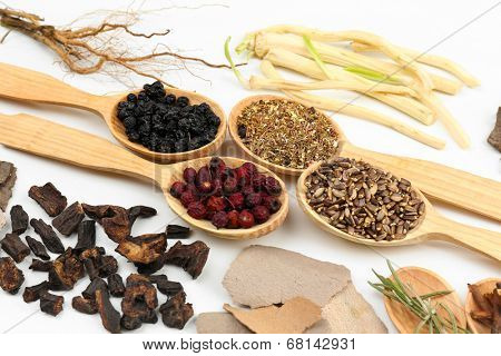Traditional chinese herbal medicine ingredients, close-up