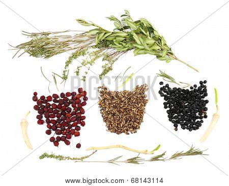 Traditional chinese herbal medicine ingredients, isolated on white