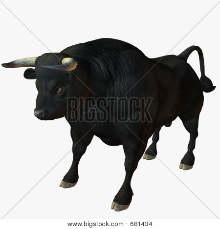 Bull