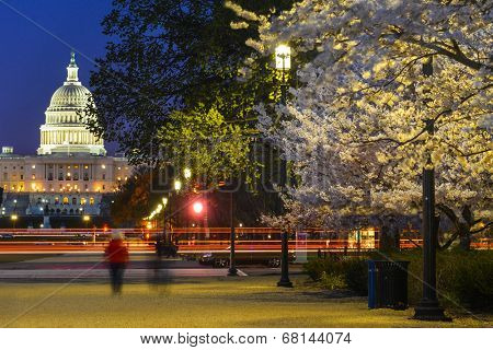 United States Capitol at night - Washington D.C.