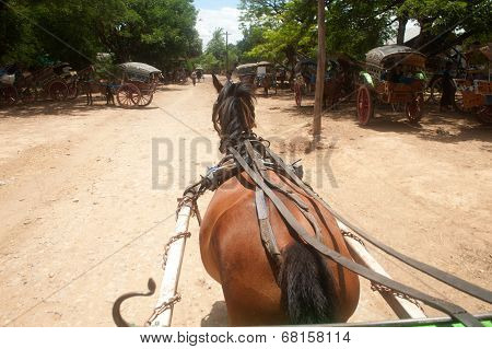 Carriage In Inwa Ancient City,Myanmar.