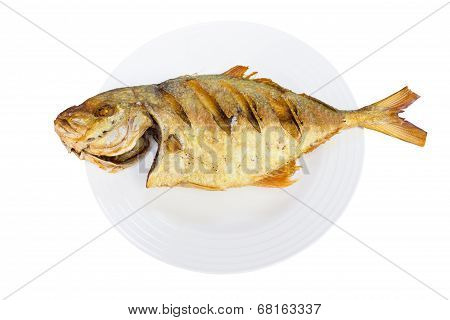 Fried Fish On White Background