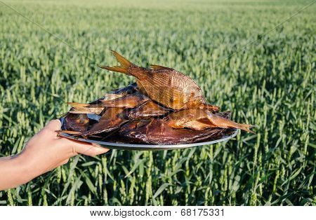 Hand Holds Plate With Smoked Fish Rudd