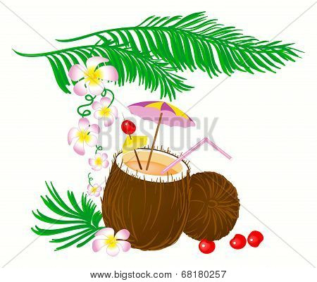 Coconut Cocktail