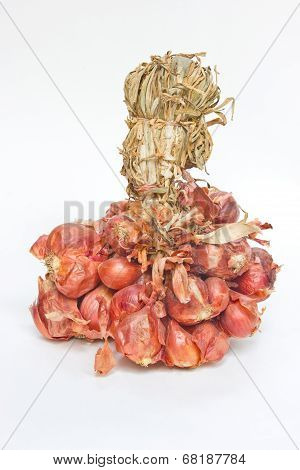Big Bunch Of Small Red Shallot Onions Isolated On White Background.