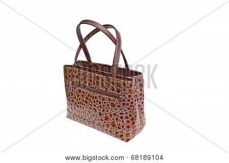 Womanish Brown Crocodile Leather Handbag