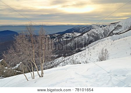 Winter Cloudscape