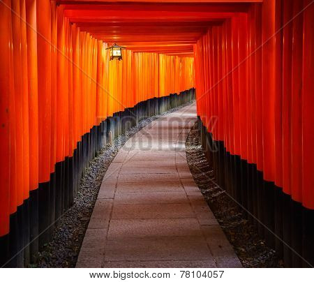 Torii Gates In Fushimi Inari Shrine, Kyoto, Japan