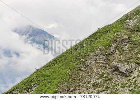 Three Mountain Gotas At Alpine Slope