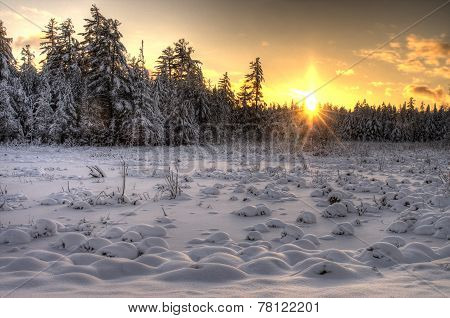 Sunset over Snowy Field