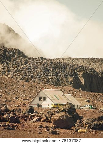 Chimborazo Hut And Vicuna