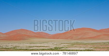 Sossusvlei Landscape