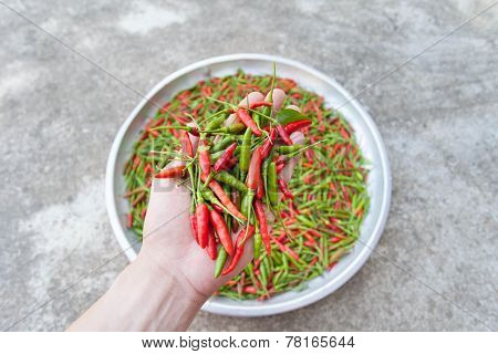 Fresh chillies