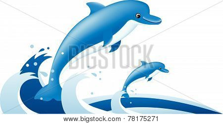 Dolphin with baby
