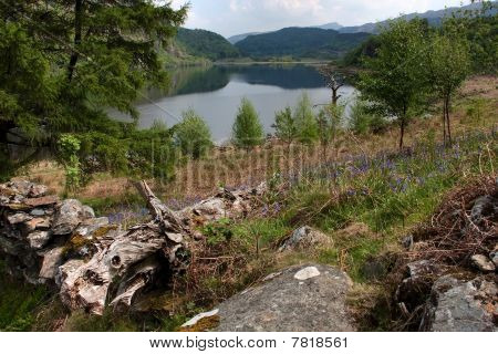 Llyn Gwynant