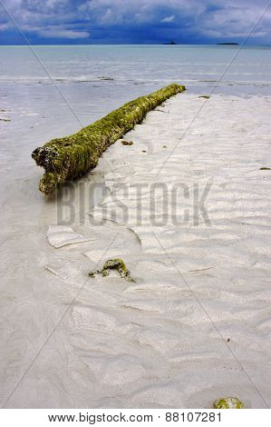 Rock And Wood In The Sand