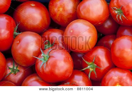 Pomodori freschi