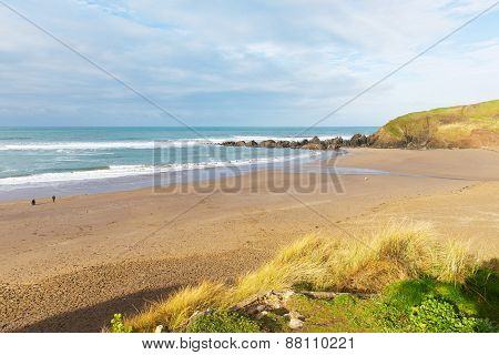 Challaborough beach Devon England uk popular surfing beach near Burgh Island and Bigbury-on-sea
