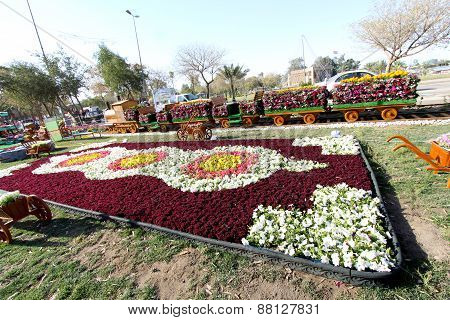 Flowers Gallery in Baghdad