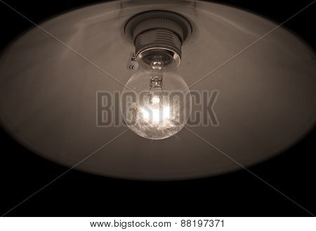 the ceiling lamp