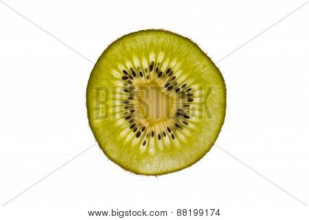 Kiwi with white background