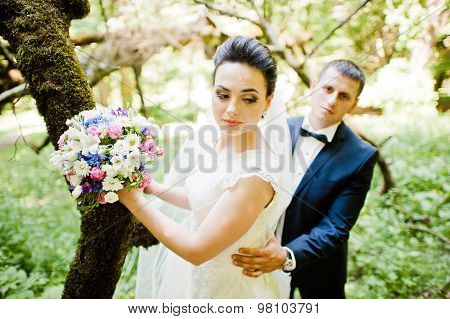 Gorgeus Wedding Couple On Green Sunny Forest