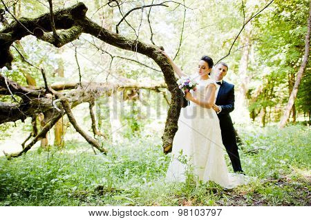 Gorgeus Wedding Couple On Green Sunny Forest
